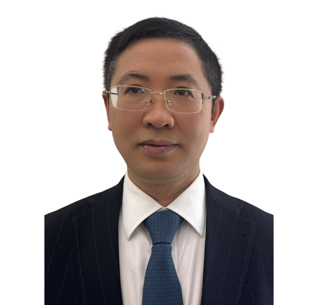 副会长 陈维永